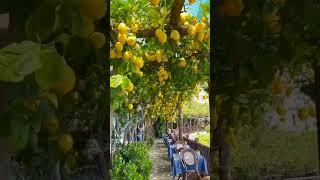 Прайано — небольшой город, расположенный на скалистых утесах