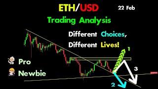 Ethereum: Different Trades between Pro and Newbie on ETHUSD