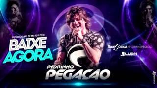 Pedrinho Pegação - CD Promocional Março 2016