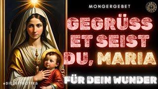 Kraftvolles Gebet der Gegrüßet-seist-du-Maria für ein dringendes Wunder! Bete jetzt!