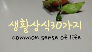 생활상식30가지/common sense of life