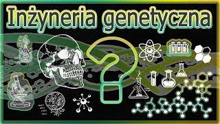 Inżynieria genetyczna, czyli składowa GMO | Świat nauki