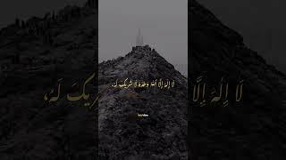 Say This on Arafah Day  #muslim #dua #prayer #islamicmotivation #islamicreminder #islamic_video