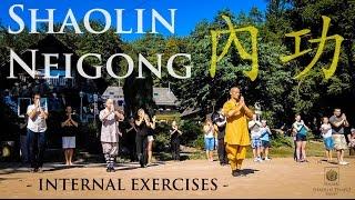 Shaolin Neigong (內功) · Internal exercises