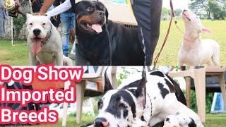 CHENNAI DOG SHOW, INDIA Cutest Dog Collection Madras Canine Club, சென்னை டாக் ஷோ மிகச்சிறந்த டாக் ஷோ