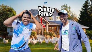 This Guy Built Luxury Houses For Chickens Instead Of Humans In Botswana 