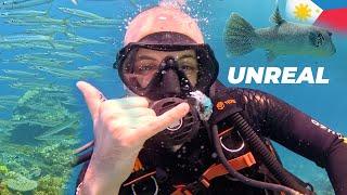 A dream come true in El Nido Philippines  I scuba dive for the first time ever!