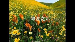 那些花儿    朴树