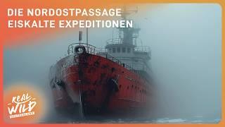 Durch die eiskalte Nordostpassage: Gefährliche Reisen | Real Wild Deutschland