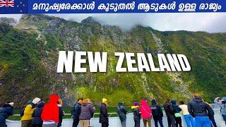 EP #1 - ഒരു വർഷം 20000 ഭൂകമ്പങ്ങൾ നടക്കുന്ന രാജ്യം | Welcome to New Zealand