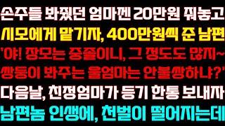 [반전 신청사연] 손주 봐줬던 엄마는 20만원 줘놓고 시모에게 맡기자 400만원씩 준 남편 엄마가 등기 보내자 오열하는데/실화사연/사연낭독/라디오드라마/신청사연 라디오/사이다썰