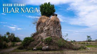 Ternyata Ular Naga Itu Bukan Mitos Ini Lho Buktinya | Makam Keramat Ular Naga Jawa Timur