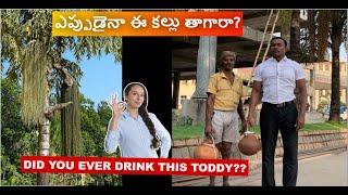 Jeelugu Kallu - Traditional Tribal Wine || జీలుగు క‌ల్లు @hyderabad || 6 KMs from LB Nagar #viral