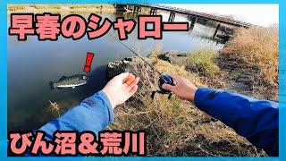 【びん沼＆荒川　バス釣り】早春のシャローを攻める！