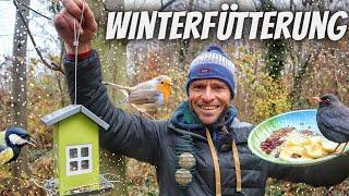 Wildvögel richtig füttern + zahlreiche Futtertipps für verschiedene Vogelarten 