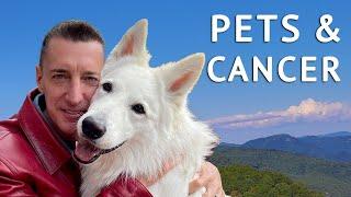 SAVING OUR PETS FROM CANCER! Dogs & Pets' Health