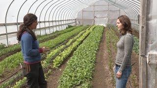 High Tunnels and Season-Extension Technology - In the Alaska Garden with Heidi Rader