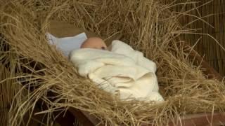 Store owner: Baby Jesus is most stolen Christmas decoration