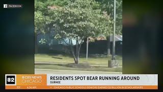 Residents spot bear near Gurnee daycare center, popular mall