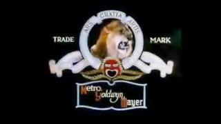 MGM Tanner the Lion with Coffee Roar Effects (Fixed)