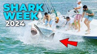 Epic SHARK Fishing Montage | SHARK WEEK 2024