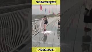 China Glass Bridge #shorts #youtubeshorts #viral #facts #explained