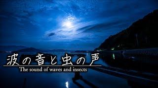 【BGM for restful sleep】 The sound of waves and insects