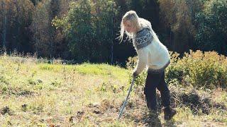 Harvest Time in Northern Countryside