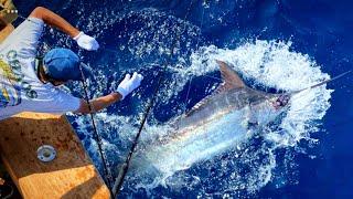 Adventures with CHAOS Sportfishing