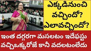 ఎక్కడినుంచివచ్చిందో?ఎలావచ్చిందో?తెలియదు|నన్నుమాత్రం వదలటంలేదు|పూజలో ఏంచేస్తుందోచూడండి