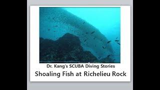 0022 Dr. Kang's SCUBA Diving Stories - Shoaling fishes of Richelieu RockE