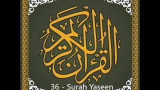 36 - Surah Yaseen - Qari Asad Attari AlMadani