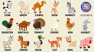 Learn Animal Names and Sounds | Fun Livestock Recognition for Kids in English