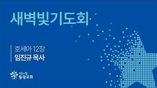 2025. 1. 17  / 새벽빛기도회 / 임진규 목사 / 세상의빛동광교회 온라인예배