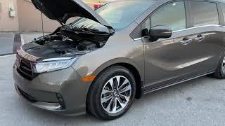 2021 Honda Odyssey EXL for sale at TJ Chapman Auto