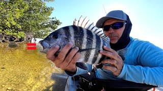 Sheepshead Fishing made easy Using This BAIT