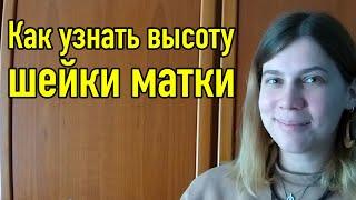 Как узнать высоту шейки матки. И 4 причины, зачем это вообще нужно :)
