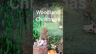 A beautiful and unusual Woodland Christmas display!