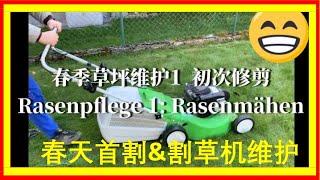 Spring lawn maintenance 1-How to take care of gasoline lawn mower, how to mowing for the first time