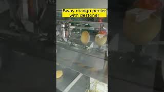 Mango slicer peeler and pit remover