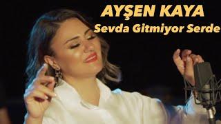 Ayşen Kaya - Sevda Gitmiyor Serde (Amanın Leyla) #ayşenkaya #neşetertaş #amanınleyla #türkü