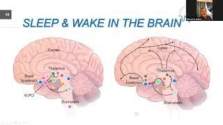 Sleep for Immunity, Mental and Physical Health to combat Covid-19