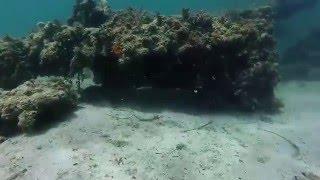 What Lies Beneath - Omeo Wreck, North Coogee Part 1.