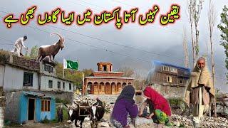 Most Beautiful Village Life in Skardu Baltistan | Peaceful and natural Views Of My  Village | GB