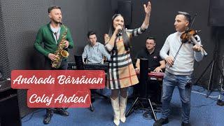 Andrada Barsauan & Formatia  Colaj Ardeal LIVE 2023 (COVER)