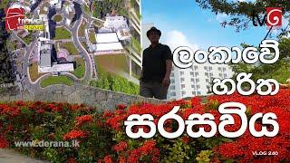 Travel With Chatura | ලංකාවේ හරිත සරසවිය  | Vlog 241