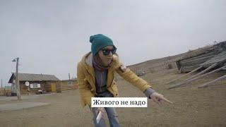 Как забивают баранов  в Монголии