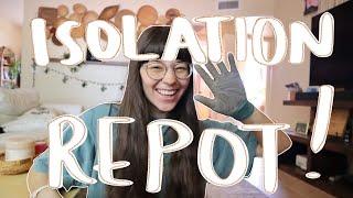 Repotting from Isolation | repot with me!