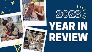 American Humane's Year In Review | 2023