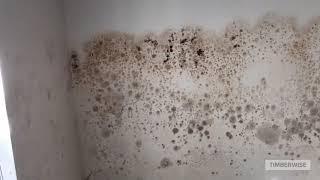 Signs of A Damp Problem On The Wall